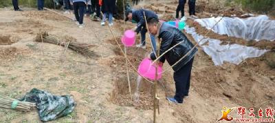 郧西：依托国储林 实现山绿民富