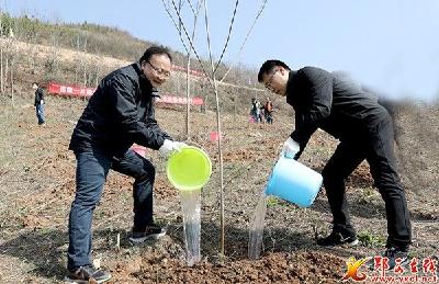 查宏王兵等县领导参加义务植树活动
