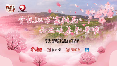直播：荆楚花开│赏枝江百亩桃花，品三峡春和景明