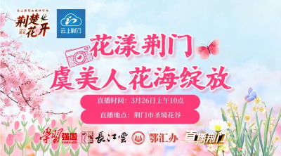 荆楚花开│花漾荆门万株虞美人花海绽放 