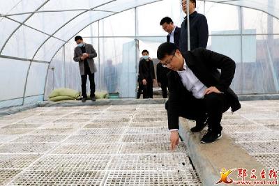 王兵:加快补链延链强链 确保农业增产丰收