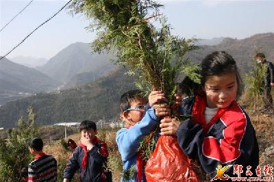 夹河镇积极开展春季义务植树活动
