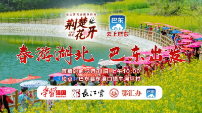 直播：荆楚花开│春游湖北 巴东出发
