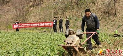 郧西：今春大力推广油菜绿肥还田技术
