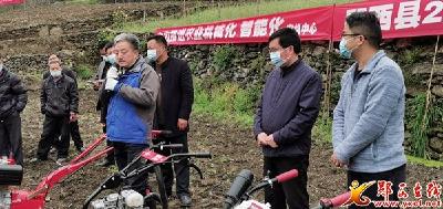 景阳乡：人大代表助力线椒产业发展