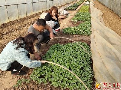 城关镇：农技指导员春分节前忙春管
