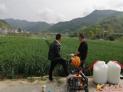 观音镇开展病虫害防治 确保夏粮丰收