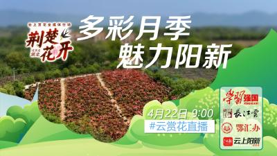 荆楚花开：多彩月季，魅力阳新