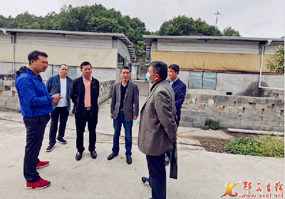 省农业事业发展中心来我县调研马头山羊产业发展