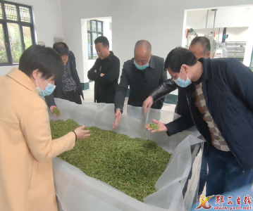 县行政审批局： “并联审批”提效能 “审管联动”惠民生