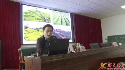 郧西：借茶园“练兵” 助产业升级