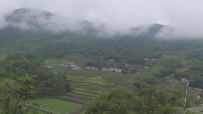 郧西农业部门把蚕茧加工厂建到蚕农家门口