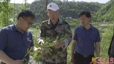 我县对农业外来入侵物种开展首轮普查