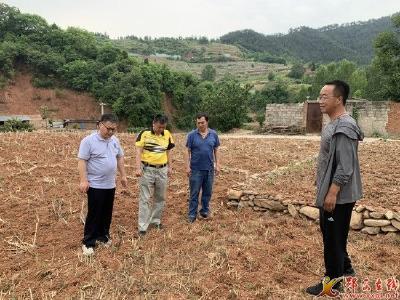 我县五万余亩农作物“喊渴” 市县农业部门抗旱保丰收