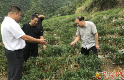 市交通运输局指导兰滩口村抗旱减灾