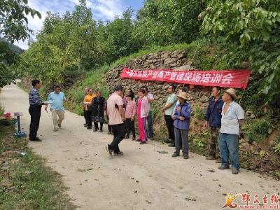 市林科所在我县开展核桃产业技术培训