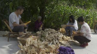 三官洞林区抢收抢种保丰收
