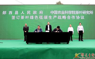 全县茶叶产业链建设现场会暨2022年“中国农民丰收节”活动启动仪式举行