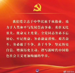 二十大报告金句