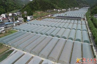 郧西县香口乡入选全国“一村一品”示范村镇