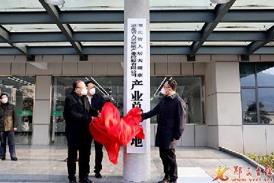 湖北省人居健康产业控股有限公司和湖北省人居大健康产业总部基地在郧西揭牌