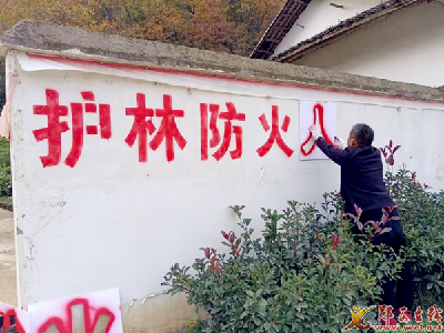 县应急管理局：“四个强化”做好森林防灭火工作