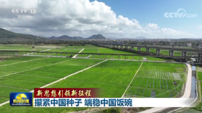 【新思想引领新征程】攥紧中国种子 端稳中国饭碗