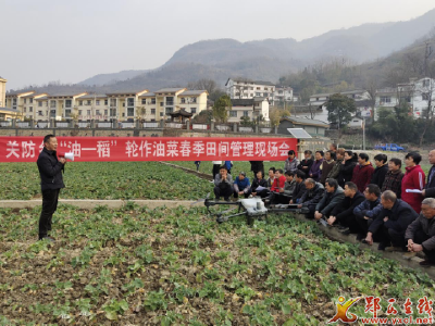 我县组织农技人员指导农民开展油菜田间管理