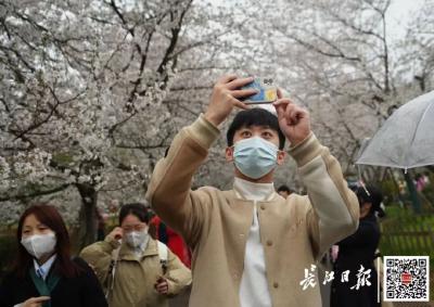 全国大V，邂逅武汉春天！
