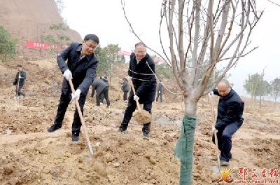 查宏王兵等县领导参加义务植树活动