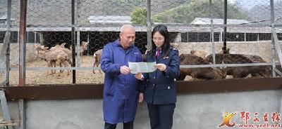 郧西：便民办税春风 吹暖乡村振兴致富路