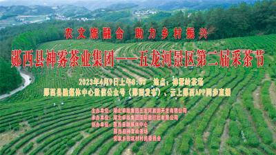 直播：农文旅融合 助力乡村振兴 郧西县神雾茶业集团---五龙河景区第二届采茶节
