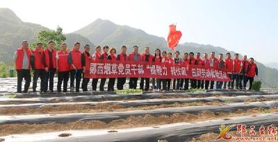 县烟草专卖局：走出机关 一线栽烟