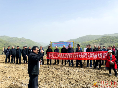 大豆玉米带状复合种植助力“一地两种”双丰收