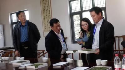 郧西：以茶为媒 以茶会友！五龙河景区第二届“采茶节”成功举办