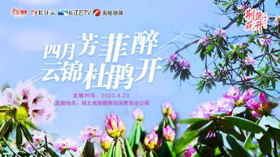 直播标题：荆楚花开：四月芳菲醉 云锦杜鹃开