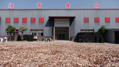 【优化营商环境】产值1000万美元！黄土梁村优化服务赋能企业出口创汇