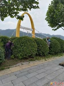 园林局：美化环境提升城市颜值