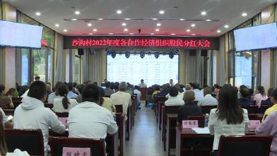 沙沟村向110户村民发“红包”，原来是……