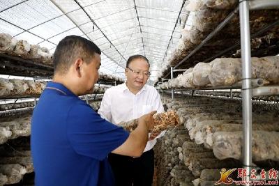 查宏：争分夺秒抢工期赶进度 持续掀起项目建设热潮