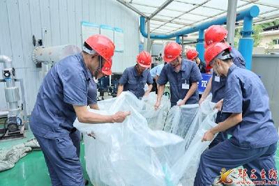 县城管局：开展应急演练 筑牢安全防线