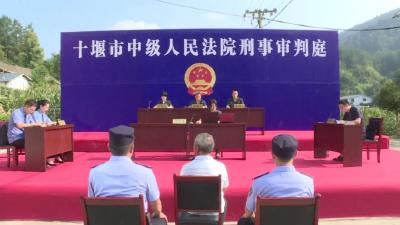 庭审现场进乡村！土门镇以案释法零距离