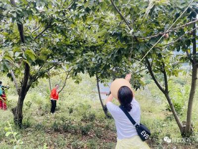 十堰郧西：各地举行2023年“中国农民丰收节”活动
