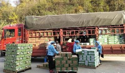 我县菌菇“香飘”东南亚