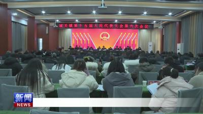 城关镇第十五届人民代表大会第六次会议召开.mp4