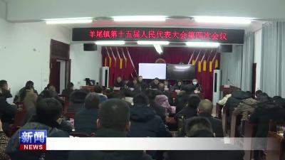 羊尾镇第十五届人民代表大会第四次会议召开.mp4