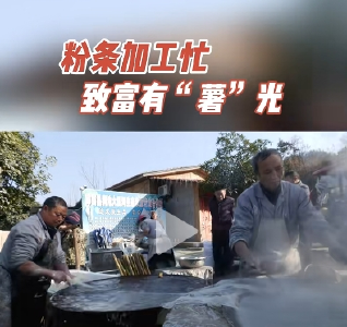 粉条加工忙  致富有“薯”光 