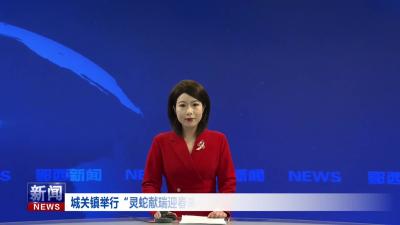 城关镇举行“灵蛇献瑞迎春来·扬帆奋进新征程”庆元旦群众文艺演出活动.mp4