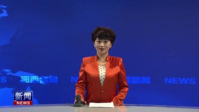 全市首个乡镇书法美术家协会在羊尾成立.mp4