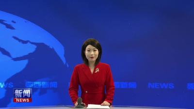 “奋进新征程 欢乐郧西年”2025年郧西县新春音乐会举行.mp4